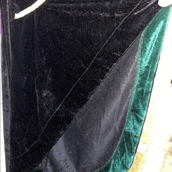 PRINCESS FIONA (2x) (movie Shrek) Curvy FABULOUS HALLOWEEN WON CONTEST COSTUME‼️ - Picture 10 of 12